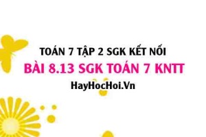 Bài 8.13 SGK Toán 7 Tập 2 Kết nối tri thức